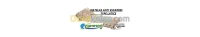 MATELAS ANTI ESCARRES LATICE