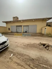 Vente Usine Ain defla Boumedfaa