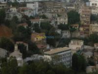 الجزائر-سيدي-امحمد-أرض-byaa-ard-aljzaer-sydy-amhmd