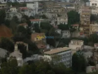 Vente Terrain Alger Sidi mhamed