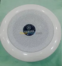 hp plafonier  celiing speaker