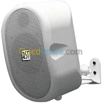 BST WMS4AWH MONITORING amplifié 40w 
