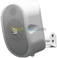 BST WMS4AWH MONITORING amplifié 40w