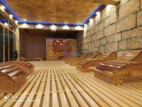 الجزائر-وسط-ديكورات-و-ترتيب-مداخن-شلالات-حجر-مزيف