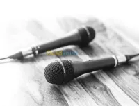 beyerdynamic TGV70 -S-vocal-microphone
