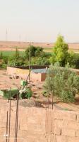 bechar-beni-ounif-algerie-terrain-agricole-vente