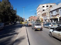 الجزائر-الكاليتوس-أرض-byaa-ard-aljzaer-alkalytos