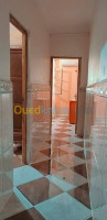 chlef-boukadir-algerie-appartement-vente-f3