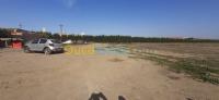 blida-boufarik-algerie-terrain-vente
