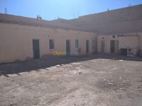 بشار-الجزائر-آخر-byaa-aakar-bshar