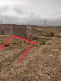 Vente Terrain Tlemcen Souahlia
