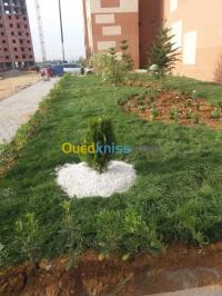 بومرداس-الجزائر-تنظيف-و-بستنة-مشتلة-اشجار