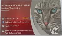 alger-gue-de-constantine-algerie-médecine-santé-service-pour-animaux