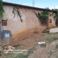 blida-algerie-terrain-vente