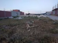 Vente Terrain Constantine El haria
