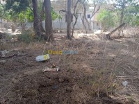 تلمسان-الجزائر-أرض-byaa-ard-tlmsan