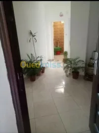 Vente Appartement F3 Relizane Relizane