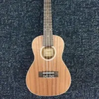 Ukulele concert 