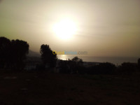 terrain-vente-tipaza-cherchell-algerie