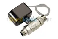 Vanne à tournant sphériques motorisèe 