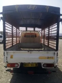 Hyundai H100