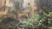 البليدة-مفتاح-الجزائر-شقة-tbadl-shk-3-ghrf-alblyd-mftah