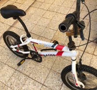 وهران-الجزائر-معدات-رياضية-vélo