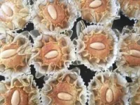 Plats gâteaux 