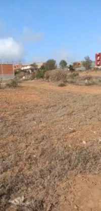 Vente Terrain Tlemcen Bab el assa