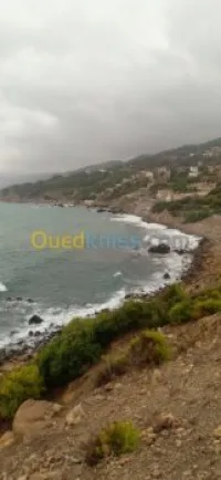 Vente Terrain Tipaza Larhat