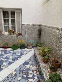 Vente Appartement F4 Oran Oran