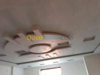 الجزائر-وسط-طلبات-عمل-plâtre-placo-peinture