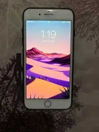 Apple Iphone 7plus