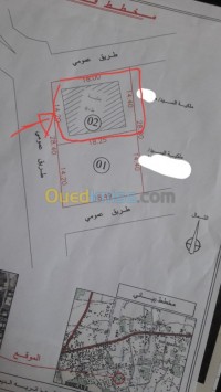 أرض-بيع-البليدة-أولاد-سلامة-الجزائر
