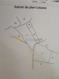 Vente Terrain Medea Medea