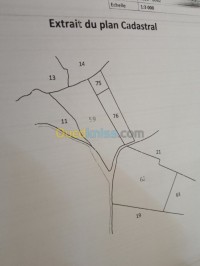 المدية-الجزائر-أرض-byaa-ard-almdy