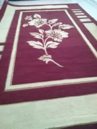 Très beau tapis bien conservé 