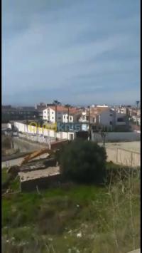 الجزائر-دالي-ابراهيم-فيلا-byaa-fyla-aljzaer-daly-abrahym