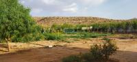الجلفة-الجزائر-أرض-فلاحية-byaa-ard-flahy-aljlf