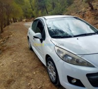 الشلف-بني-حواء-الجزائر-سيارة-صغيرة-peugeot-207-2012