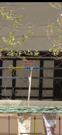 تلمسان-المنصورة-الجزائر-محل-vente-local-tlemcen-mansourah