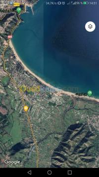 skikda-collo-algerie-terrain-vente