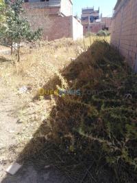المدية-الجزائر-أرض-byaa-ard-almdy