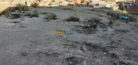 Vente Terrain Oran Arzew