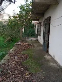 Vente Carcasse Alger Bouzareah