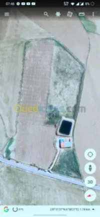 Vente Terrain Agricole Khenchela Kais