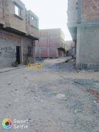 Vente Terrain Biskra Biskra