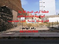 عين-تموشنت-الجزائر-أرض-byaa-ard-aayn-tmoshnt