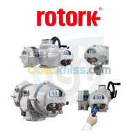 materiel-electrique-actionneur-rotork-reghaia-alger-algerie