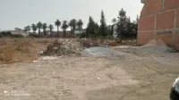 Vente Terrain Blida Larbaa